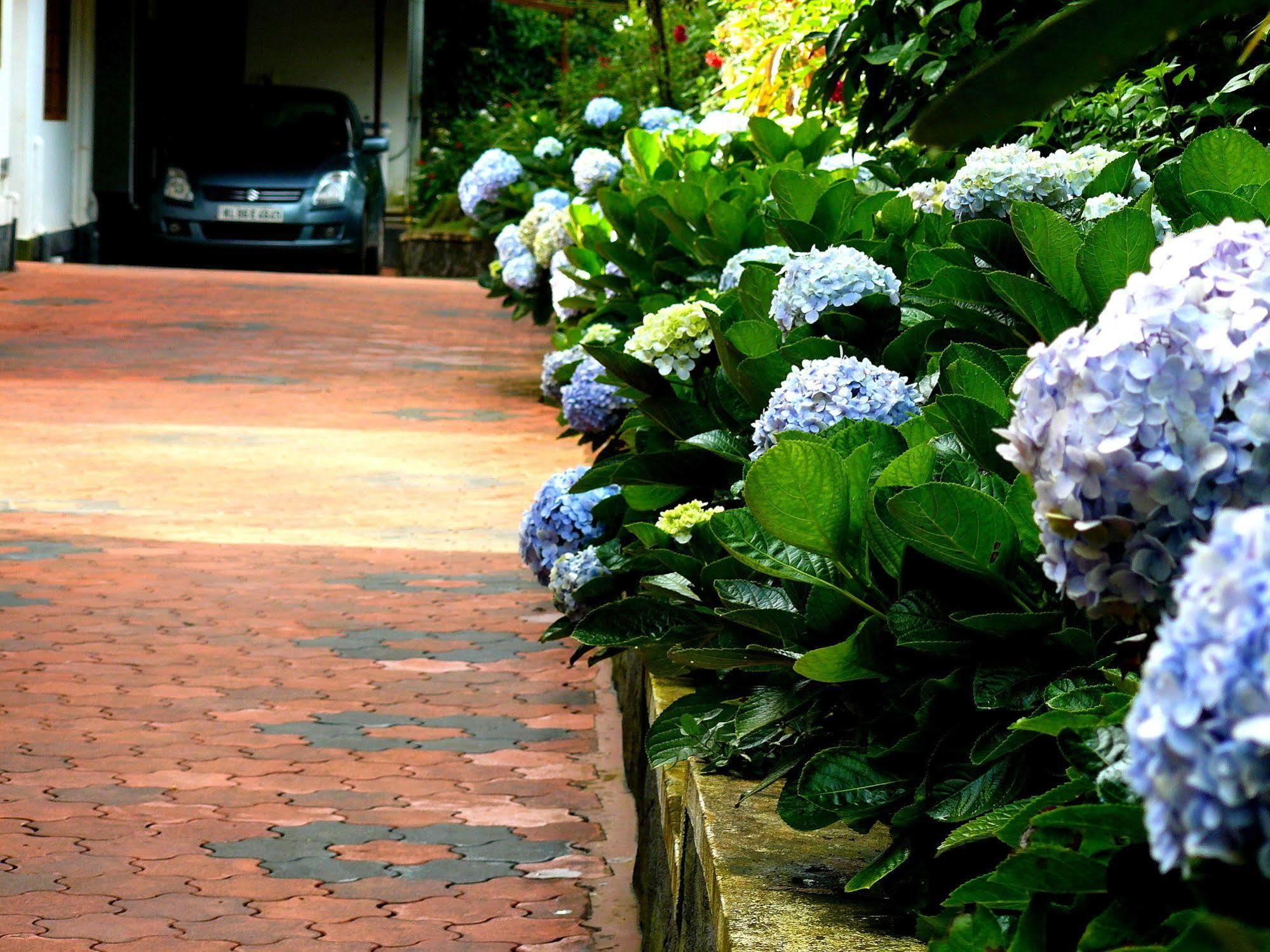 Green Shades Munnar Kültér fotó